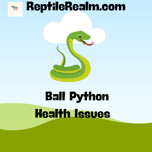 Ball Snake Health Issues- Featured post